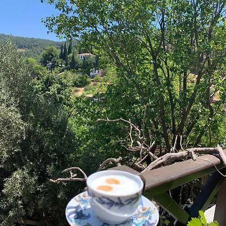 Sirince Bahce Hotel Rum i privatbostad *
